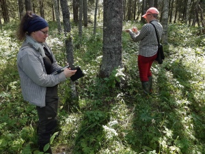 Kaksi naista metsässä havainnoimassa luontoympäristöä.